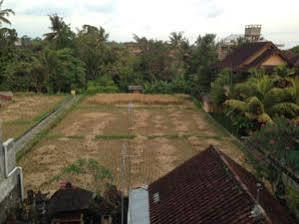Pondok Mertha House Ubud מראה חיצוני תמונה